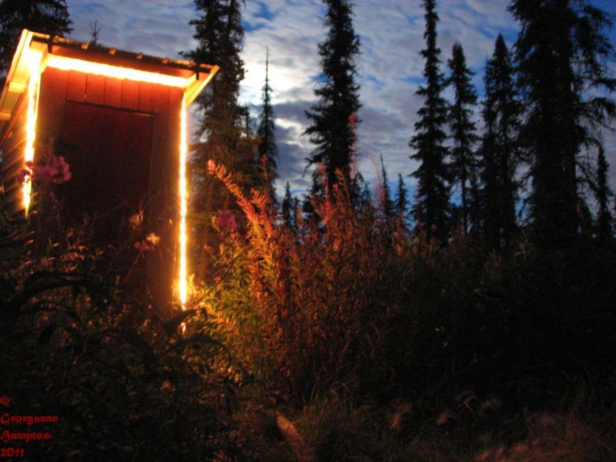 My outhouse surrounded by Fireweed and moonlight.