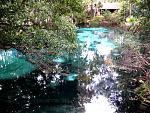 Juniper Springs 011