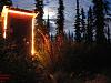 My outhouse surrounded by Fireweed and moonlight.