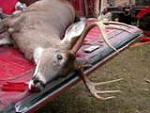 my 8 point