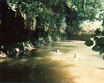 family swimming at the creek