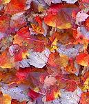 autumn leaf tile