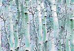 birch stems winter tile