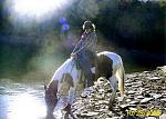 My mare we bred, raised and Trained. that's Me and Cutter at Dale Hollow lake. It drops off sharp is why I'm leaning back--didn't want to go swimming.