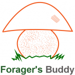 foragers_buddy's Avatar
