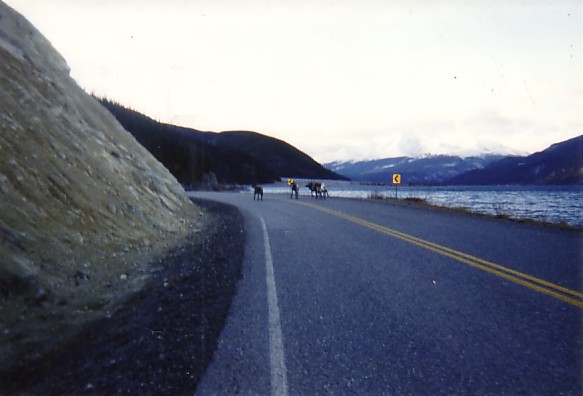 road trip through canada