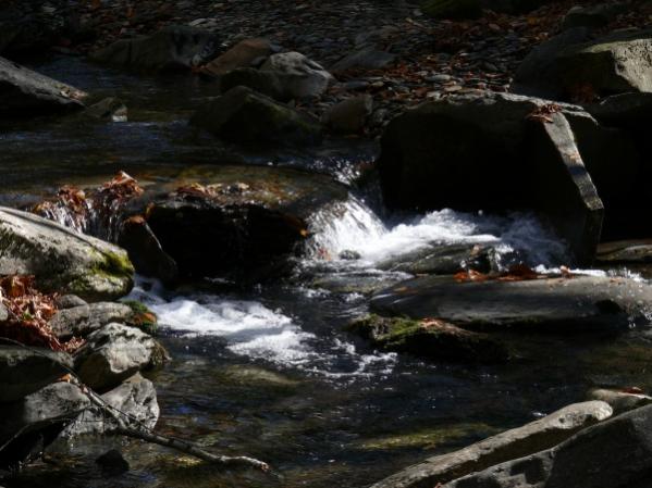 Smoky Mountains