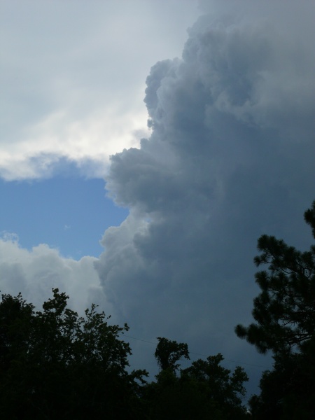 Afternoon thunderstorms coming in - from my front yard