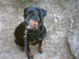 Nakita Kalma Illinois 2006