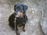 Nakita Kalma Illinois 2006