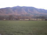 Cades cove
