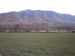 Cades cove