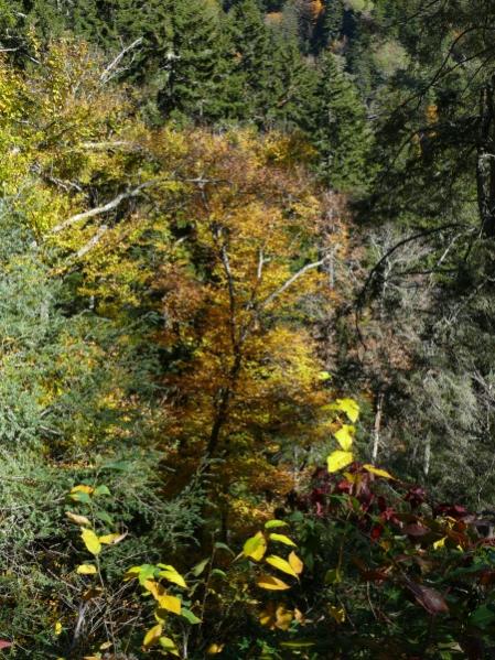 Smoky Mountains