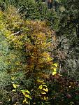 Smoky Mountains