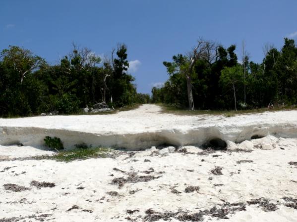 Bahamas