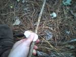 Uisn flint to carve out and place notches on a fire-killed willow shaft to make arrow.