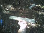 My base board for my bow drill. Made of split Osage Orange well-seasoned branch.