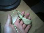 My turtle shoulder bone cordage shredder.