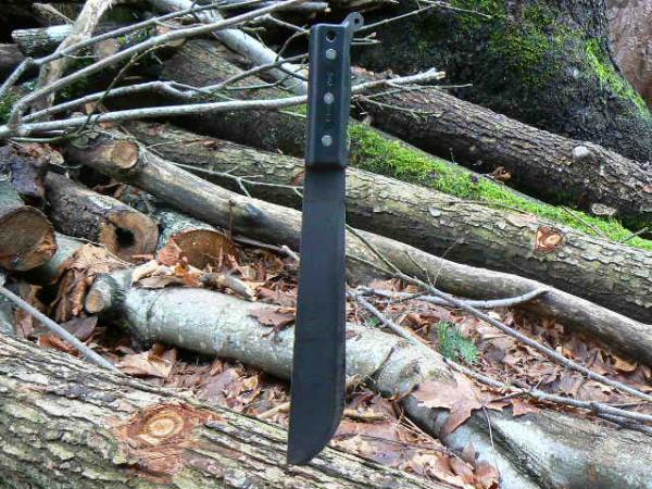 Ontario Blackie Collins