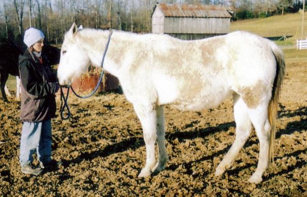 PT  one of our mares and Dottie my other half