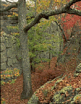 The Broxton Rocks...if you want to know more about area, I posted a link....