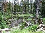Small pond in High Uintas