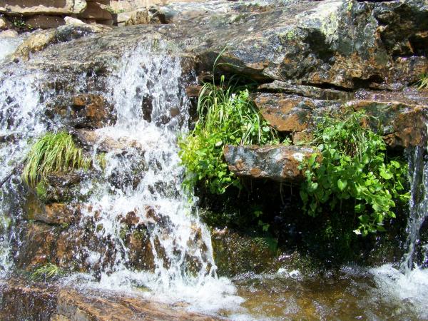 Waterfall near Provo Falls, of Provo River