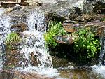 Waterfall near Provo Falls, of Provo River