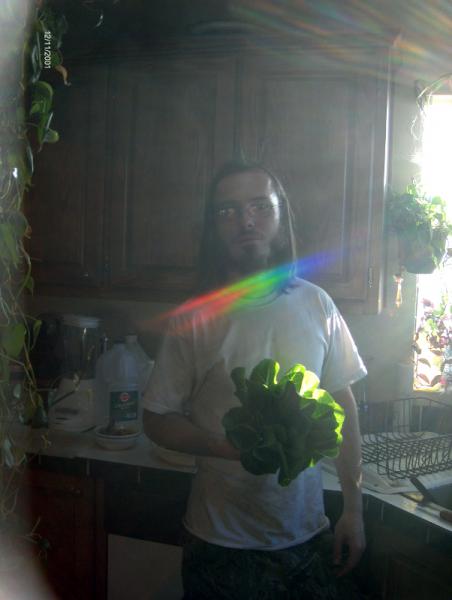 butter leaf lettuce.