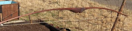 red oak longbow, dark finish

40lb i believe.