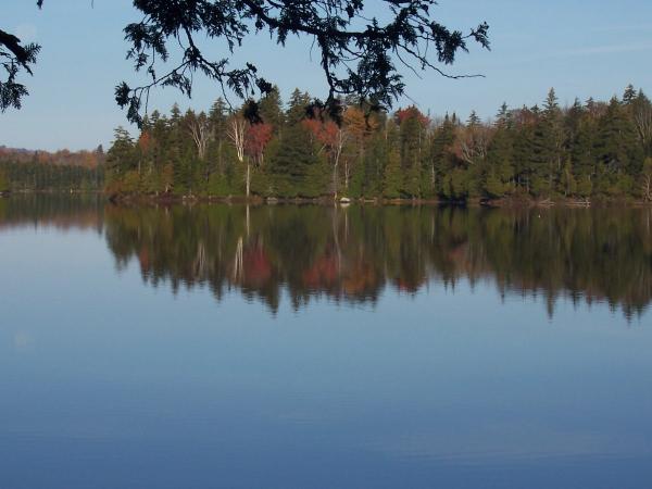 Austin pond in October