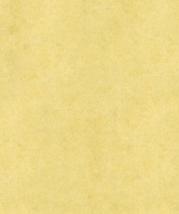 parchment paper