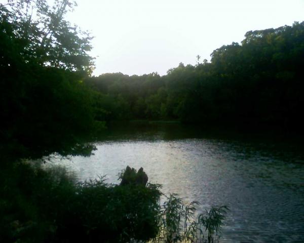 the spoon river