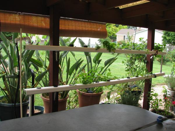 Hydroponics made with downspouts