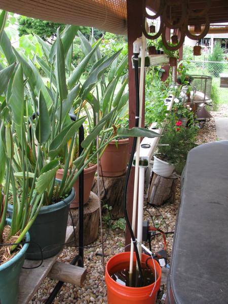 A five gallon bucket a little tubing and a fountain pump