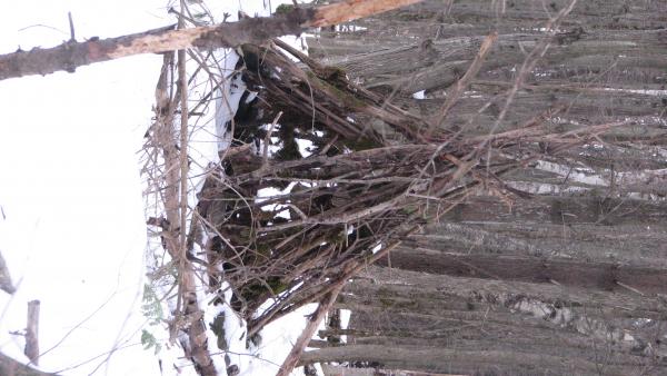 My Teepee.