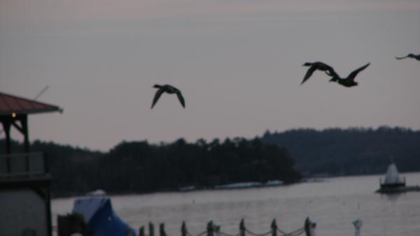 Lake Champlain