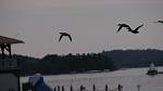 Lake Champlain
