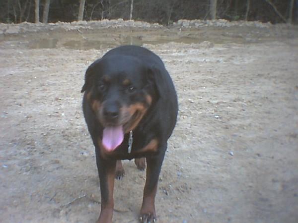 Nakita at Cherokee
