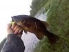 Kettle River