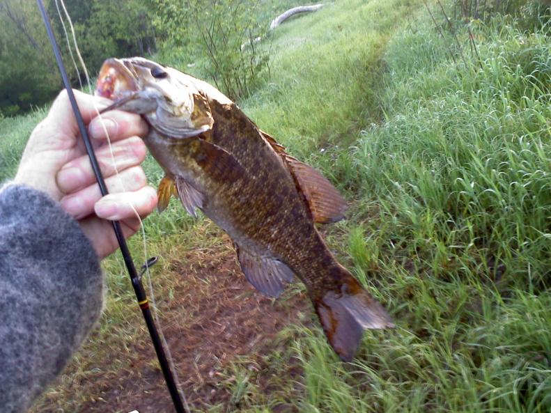 Kettle River Smallie2
